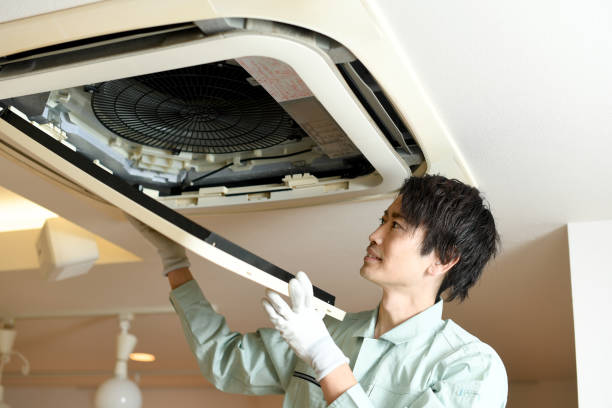 Best Dryer Vent Cleaning Services  in Bowdon, GA